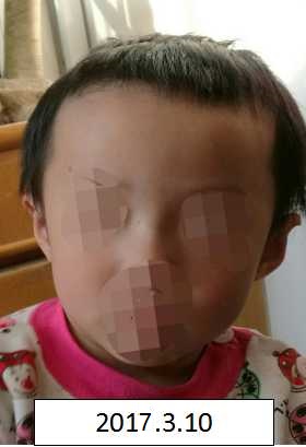 女女互吃逼
